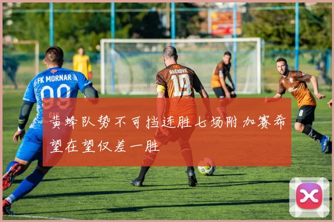 黄蜂队势不可挡连胜七场附加赛希望在望仅差一胜