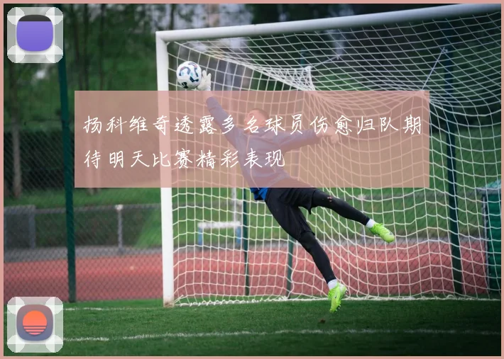 扬科维奇透露多名球员伤愈归队期待明天比赛精彩表现