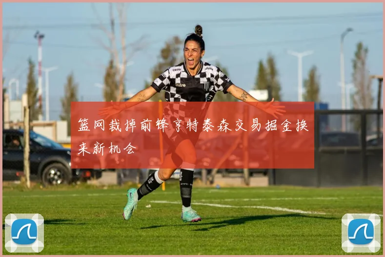 篮网裁掉前锋亨特泰森交易掘金换来新机会