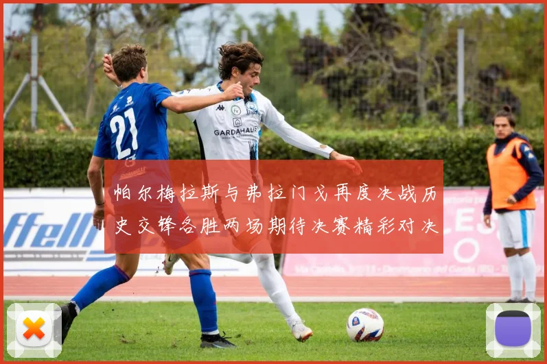 帕尔梅拉斯与弗拉门戈再度决战历史交锋各胜两场期待决赛精彩对决